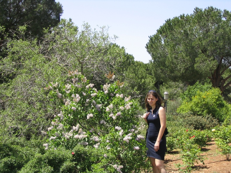 Roses Garden 001