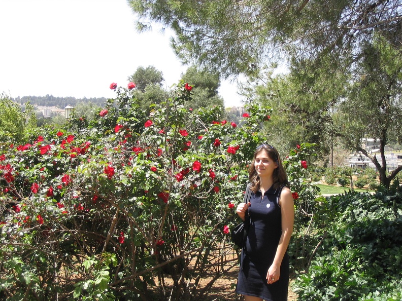 Roses Garden 005