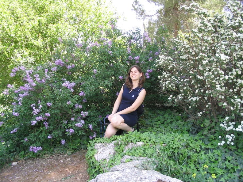 Roses Garden 006