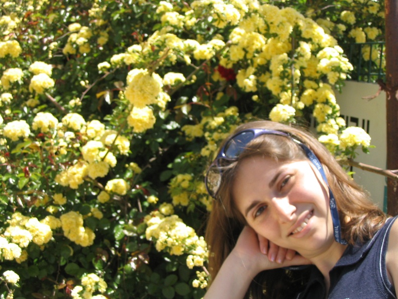 Roses Garden 008