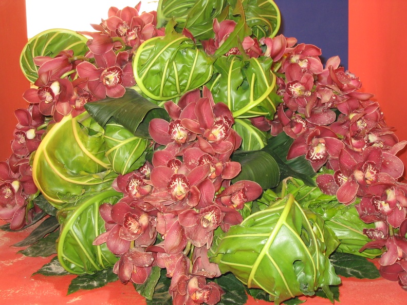 Flowers Exhibition 011