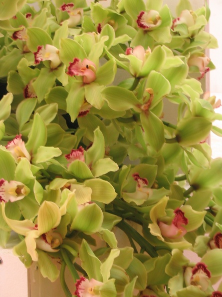 Flowers Exhibition 013