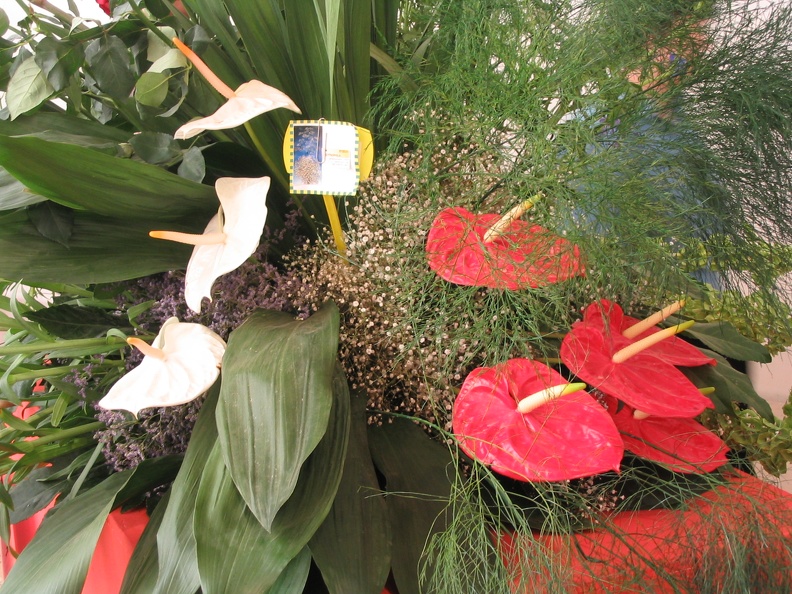 Flowers Exhibition 014