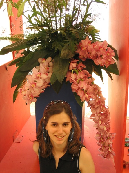 Flowers Exhibition 016
