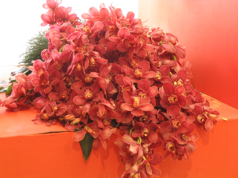 Flowers Exhibition 017