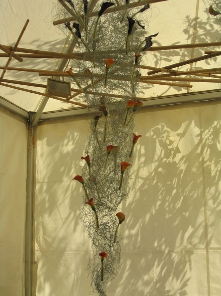 Flowers Exhibition 020