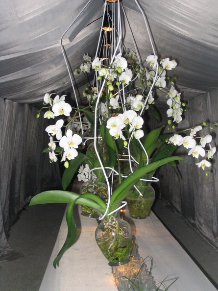 Flowers Exhibition 029