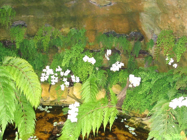 Flowers Exhibition 036