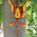 Flowers Exhibition 047