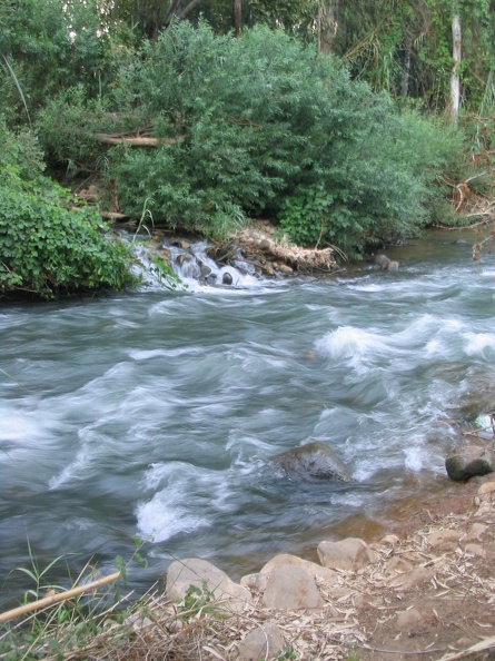 IMG 029.jpg