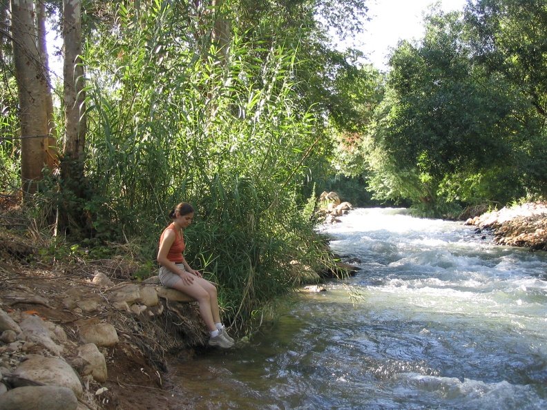 IMG 038.jpg