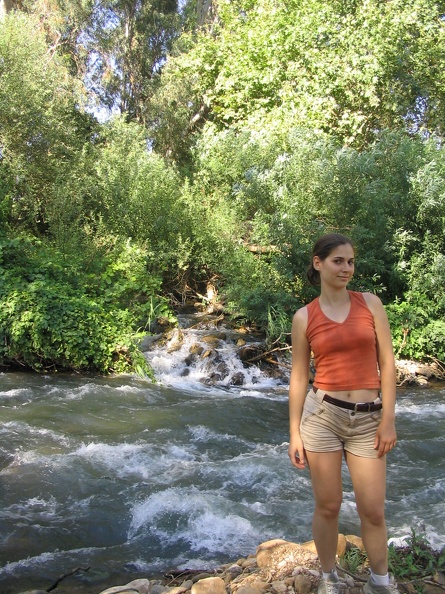 IMG 043.jpg