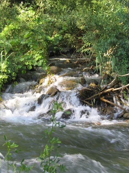 IMG 045.jpg