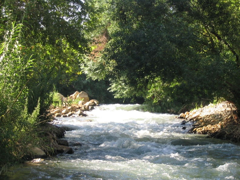 IMG 049.jpg