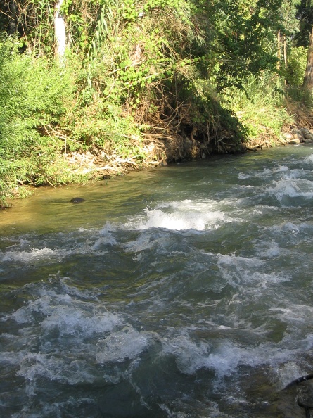 IMG 056.jpg