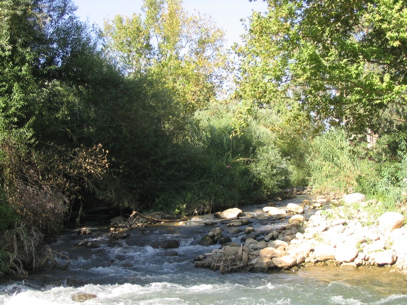 IMG 062.jpg