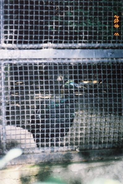 F1000028