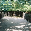 F1000030