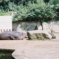 F1000031