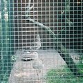 F1000036