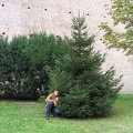 foto 049