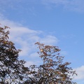 foto 079