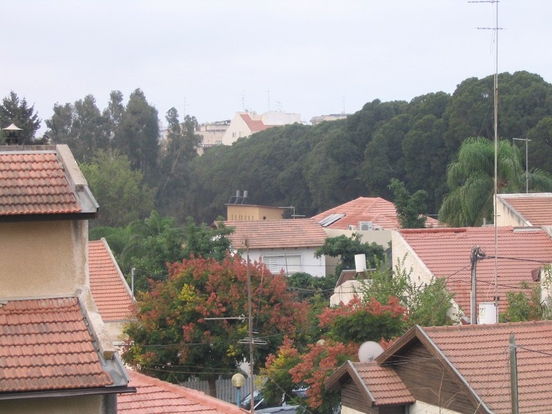 Morning at Kfar-Saba
Taken: 19-Oct-2004
