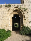 Tel Afek 023