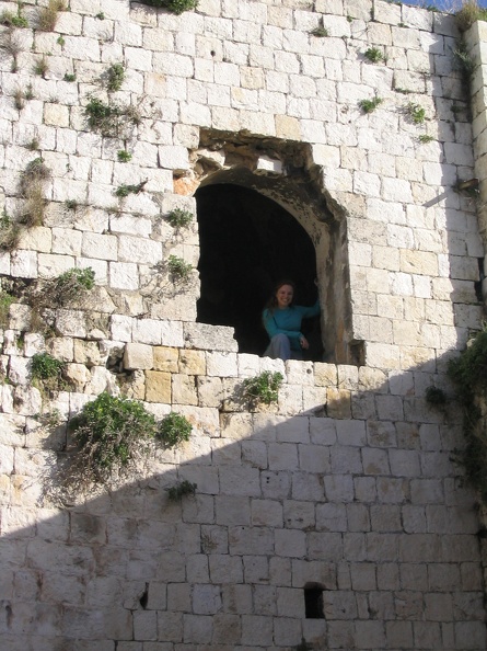 Tel Afek 038