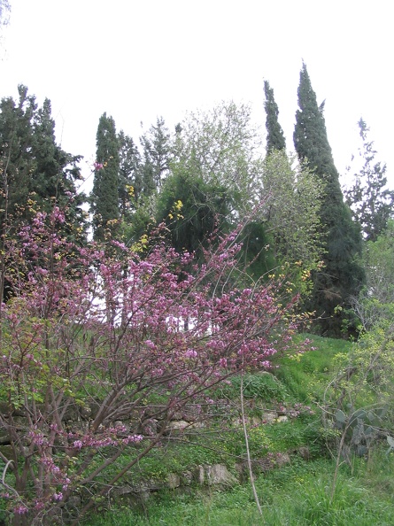 Canada Park 004