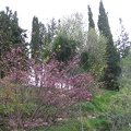 Canada Park 004