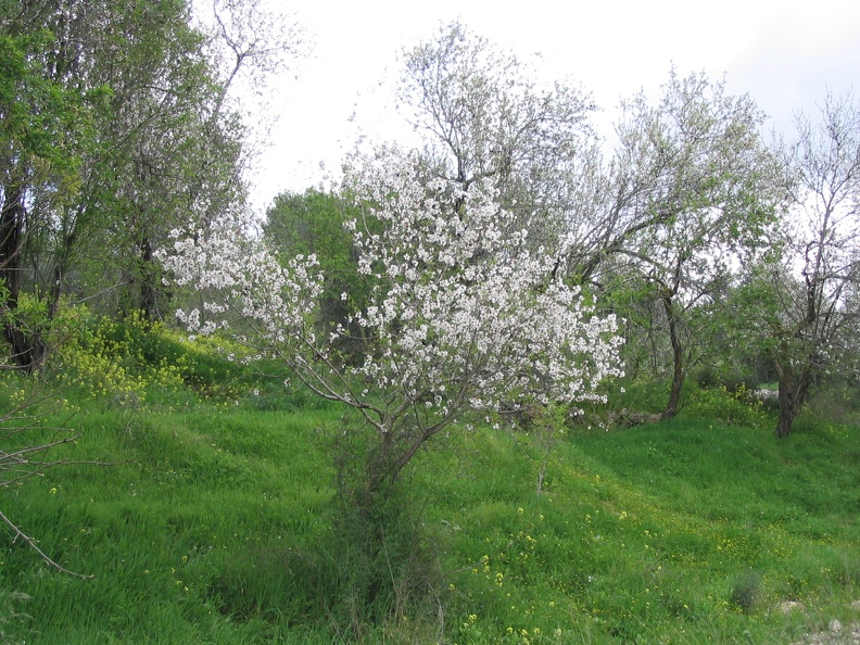 Canada Park 010