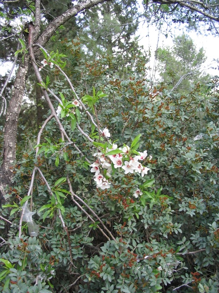Canada Park 018