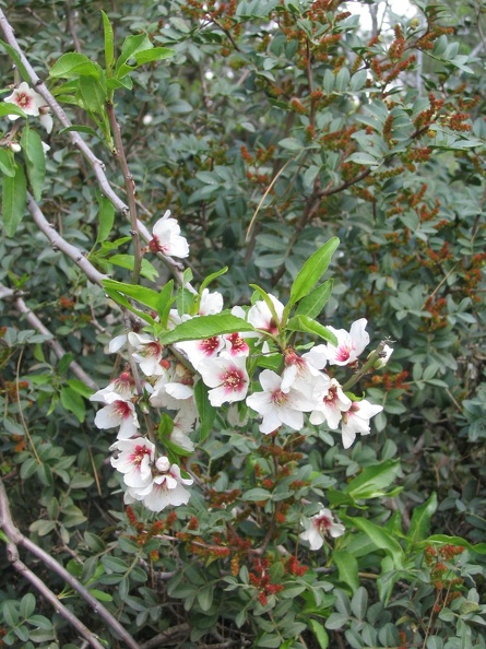 Canada Park 019