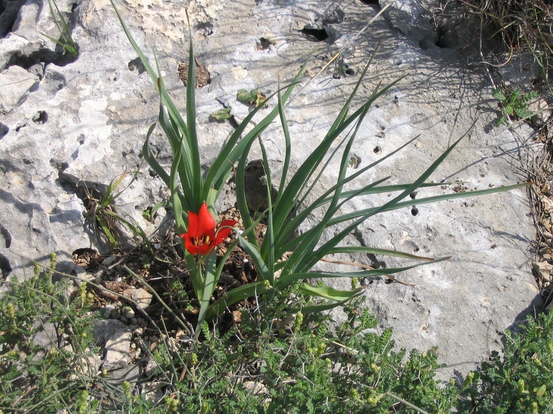 Canada Park 025