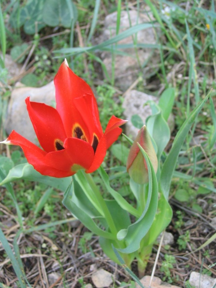 Canada Park 033