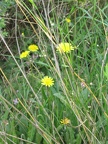 Canada Park 047