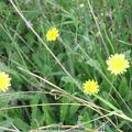 Canada Park 048