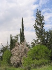 Canada Park 056