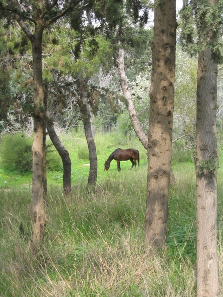 Canada Park 057