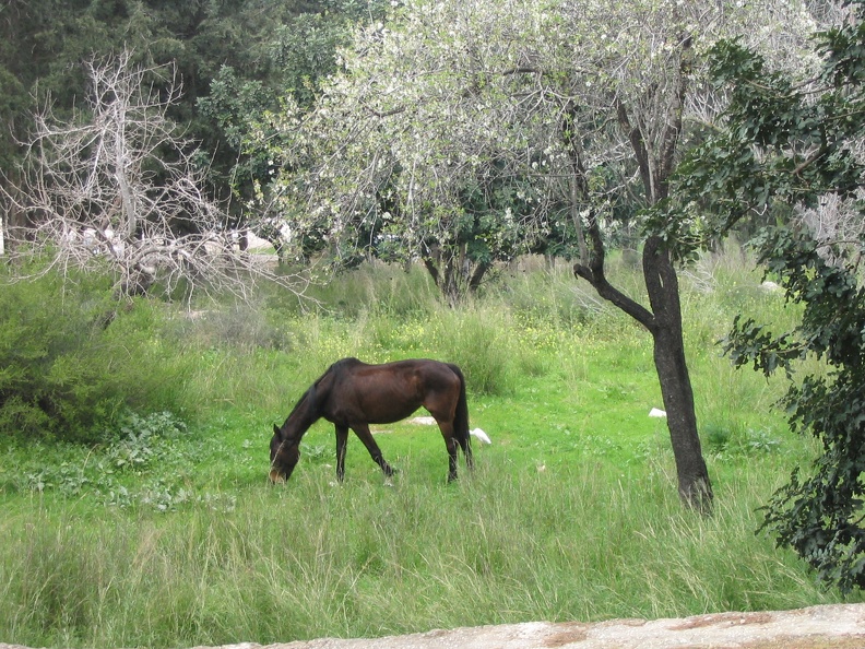 Canada Park 058