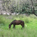 Canada Park 059