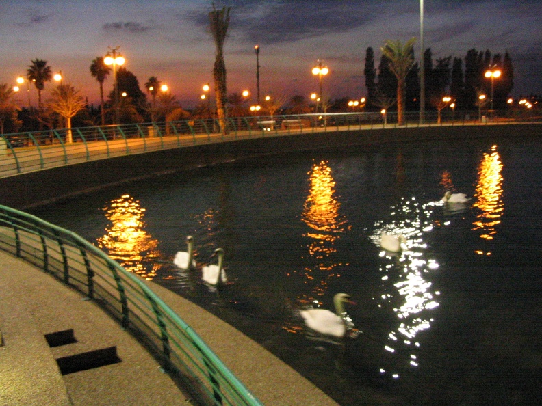 Park Raanana 013