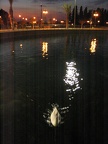 Park Raanana 015