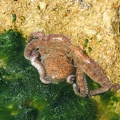 2005_0326Image0004
