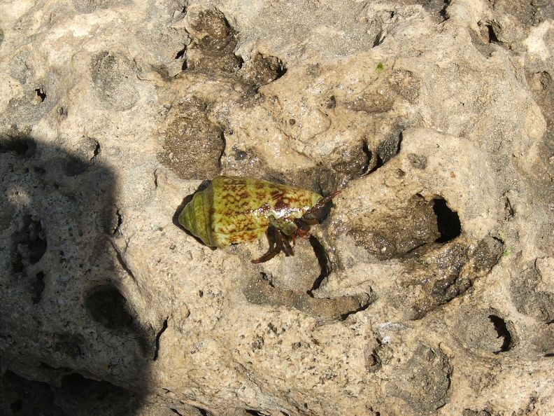 2005_0326Image0014