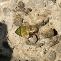 2005_0326Image0014
