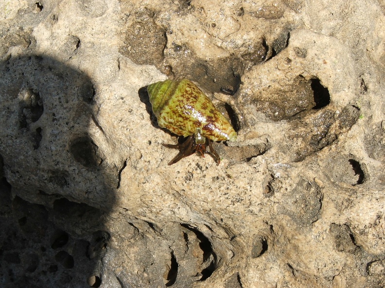 2005_0326Image0015