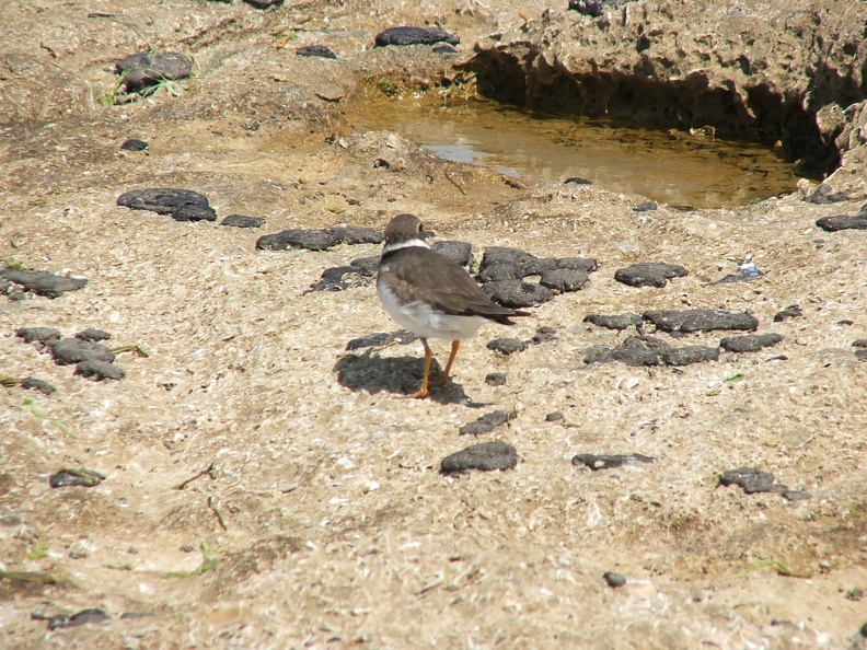 2005_0326Image0033