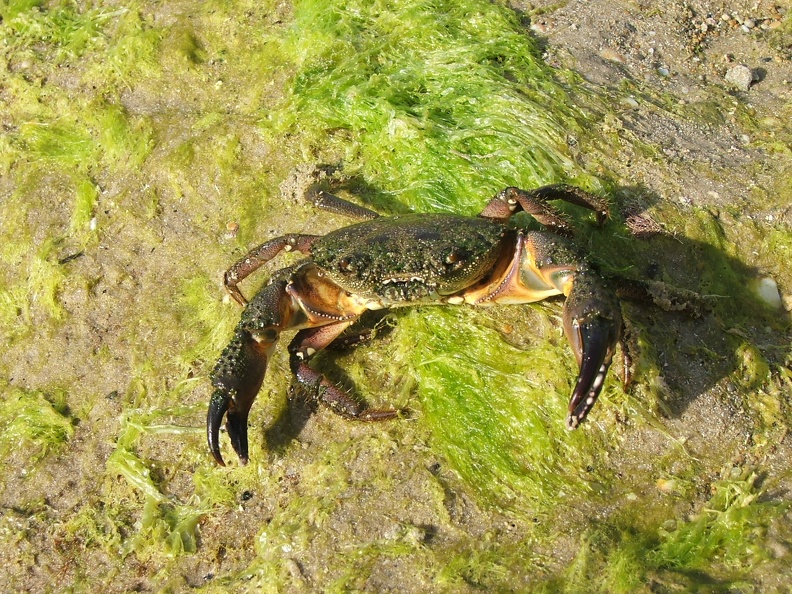 2005_0326Image0074